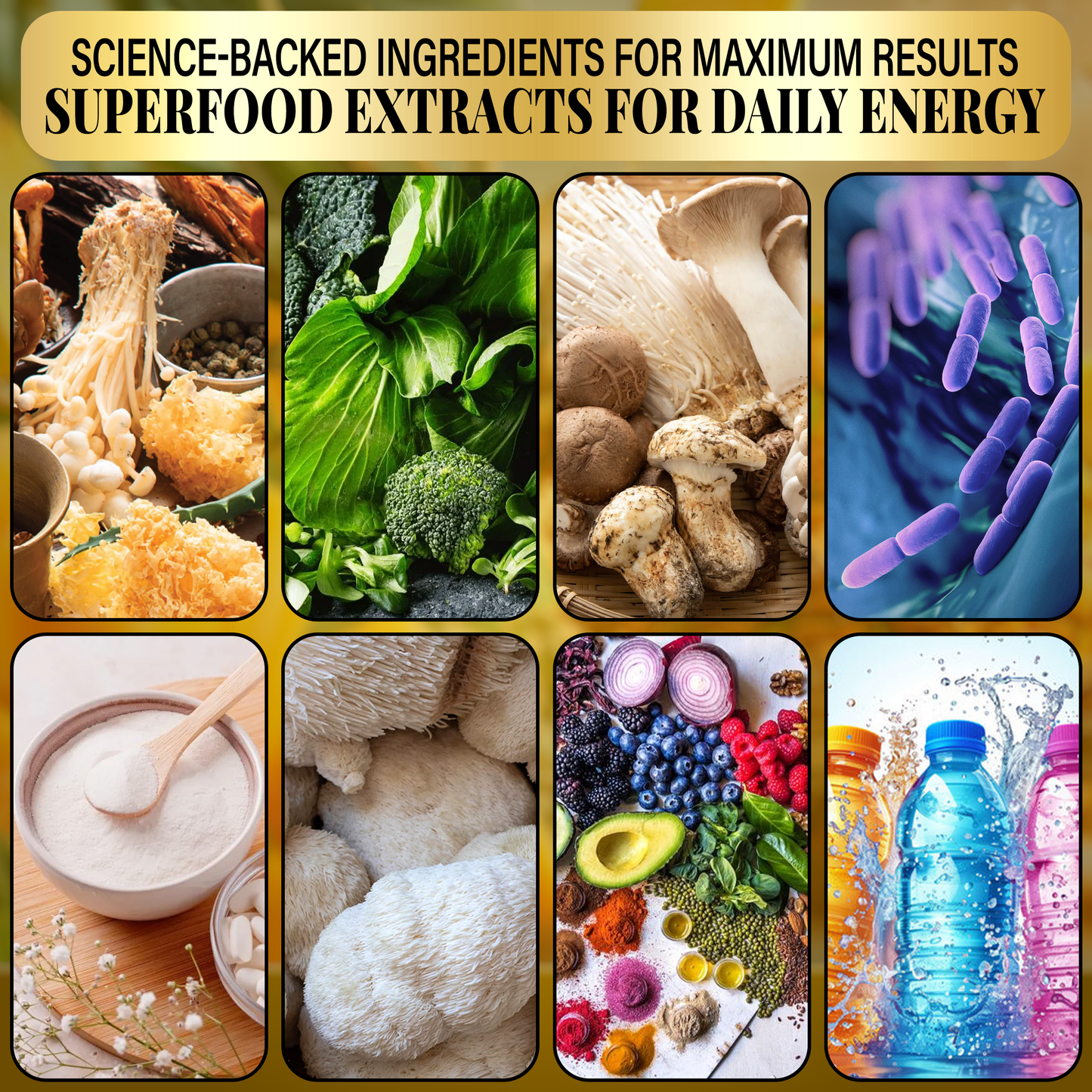 👉 VIBRA by Formula+ | Tropical Daily Greens Powder